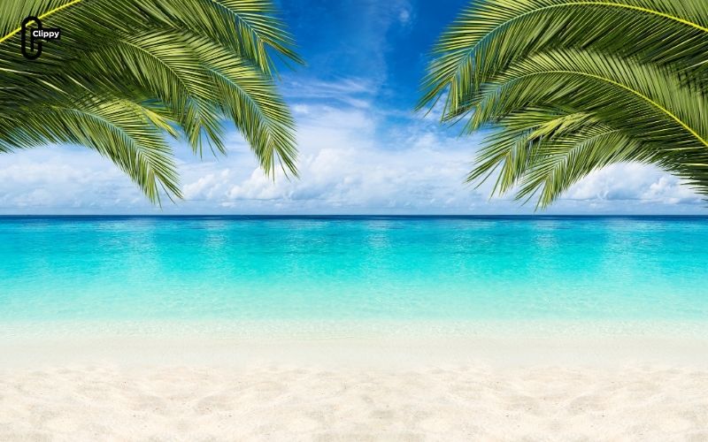 caption for instagram beach