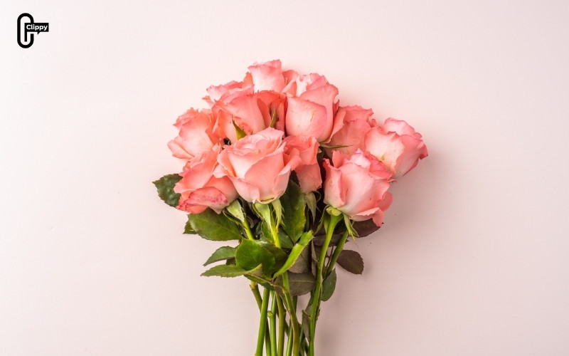 flowers caption instagram