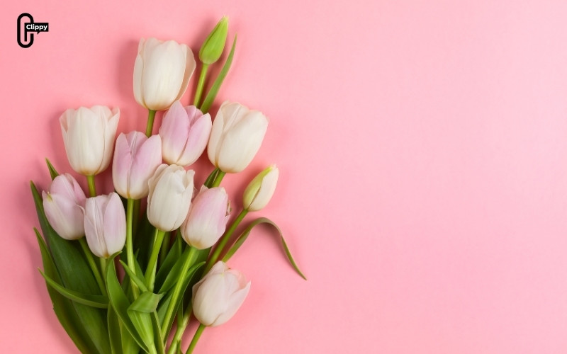 flowers caption instagram