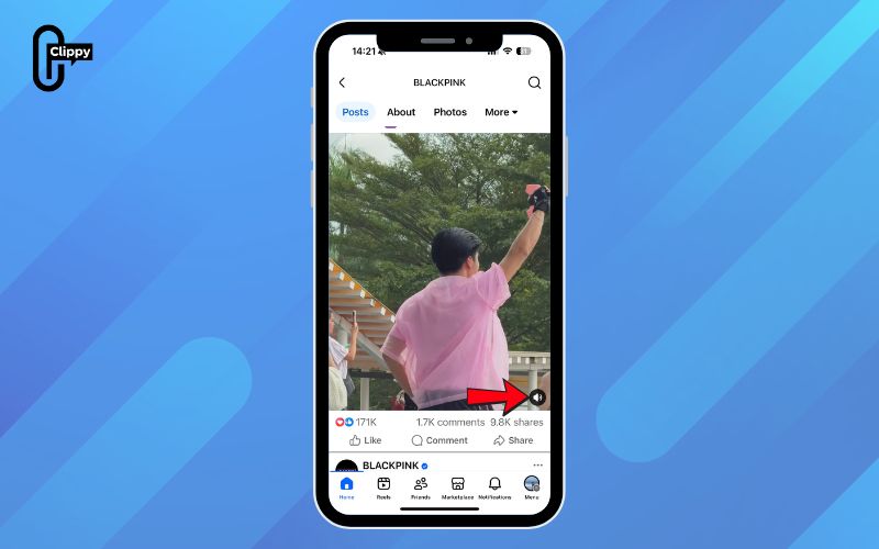 how to mute sound on facebook video