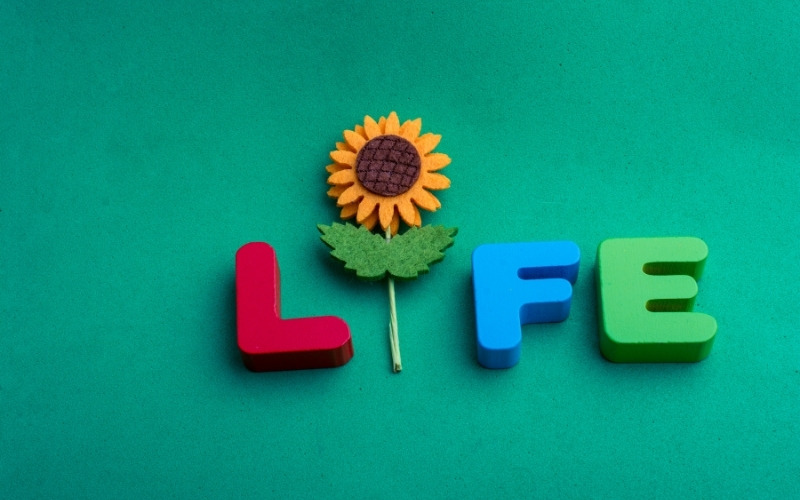caption about life for instagram