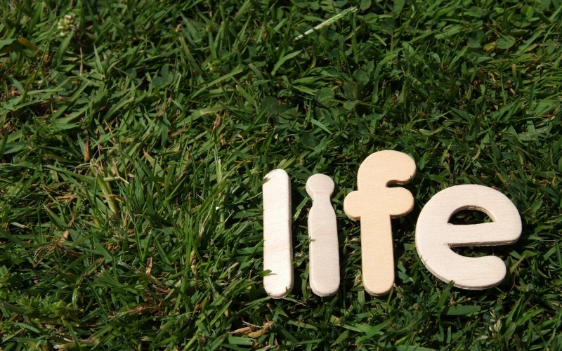 caption about life for instagram