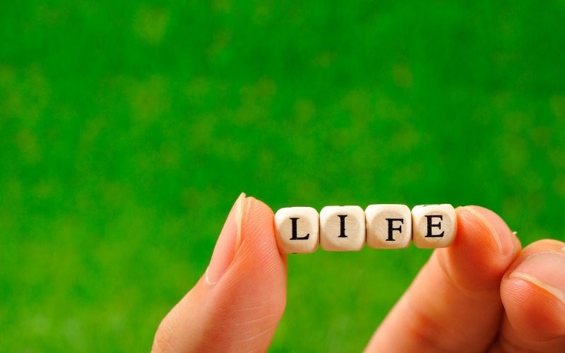 caption for instagram about life