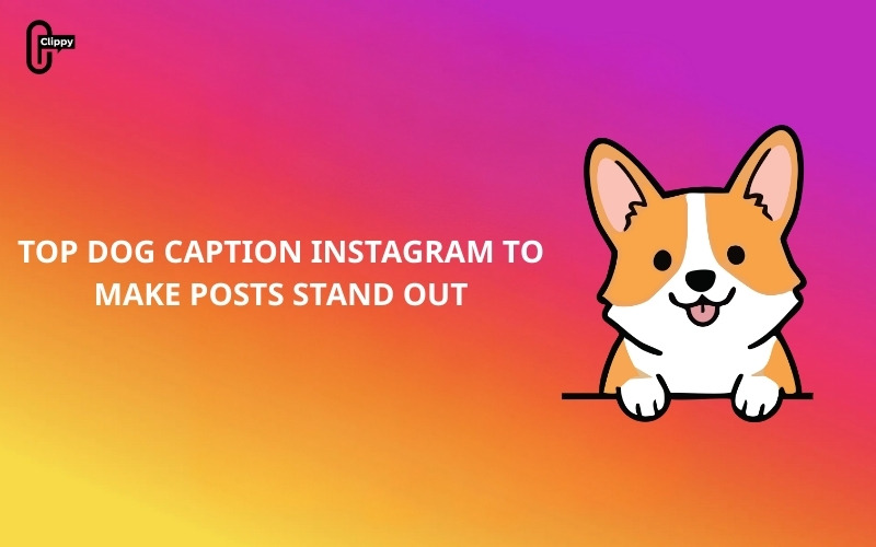dog caption instagram