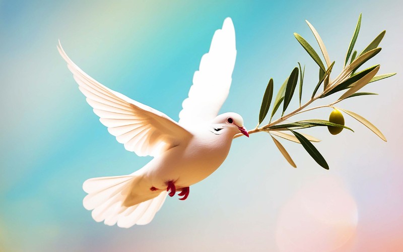peace caption for ig