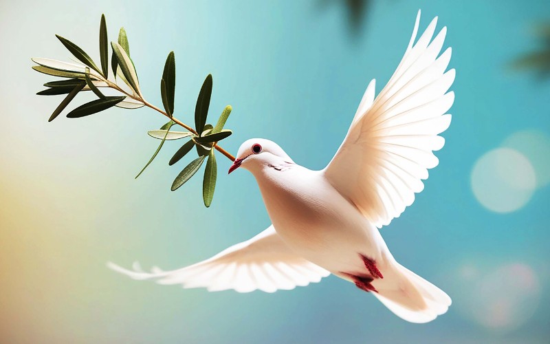 peace caption for ig